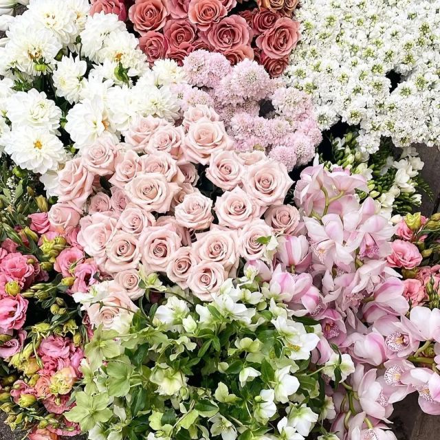Dreamy florals via @_ellebore 🩷🌸